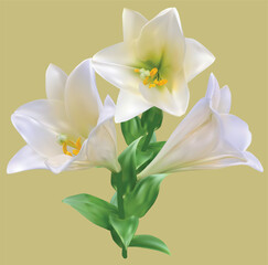 Naklejka na ściany i meble white lilies bunch isolated on light yellow
