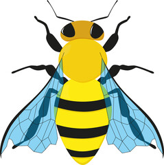 Illustrated Bee / Bumblebee