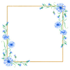 Gold frame with cornflower flowers . watercolor illustration with blue flowers