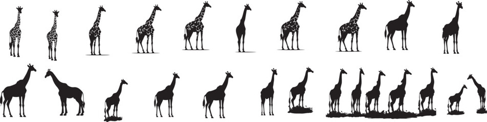 Set of giraffe vector silhouette - obrazy, fototapety, plakaty