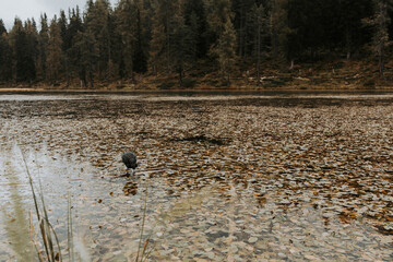 A wonderful atmosphere at Lake Misurina, which is located in the heart of the Dolomites