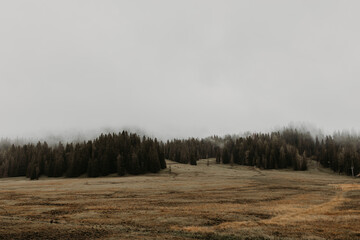 Obraz na płótnie Canvas In the Dolomites plains, an otherworldly sense of serenity envelops the landscape. 