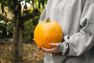 Girl in cozy grey sweatshirt holds bright yellow-orange pumpkin, Thanksgiving or Halloween, homegrown vegetables, eco living concept.