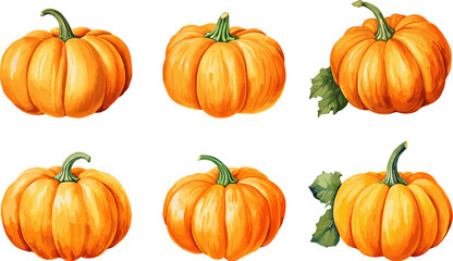 Vector pumpkins graphic watercolor elements, for autumn season, thanksgiving banner decoration. Isolated on a white background.