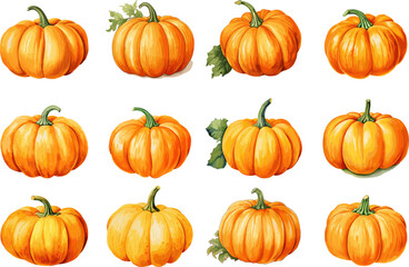 Bundle of Vector pumpkins graphic watercolor elements, for autumn season, thanksgiving banner decoration. Isolated on transparent background.