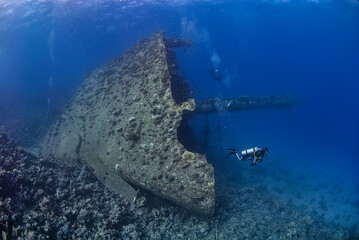 Divers exploring an old shipwreck in the Red Sea...