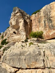 formations with tree Mallorca 