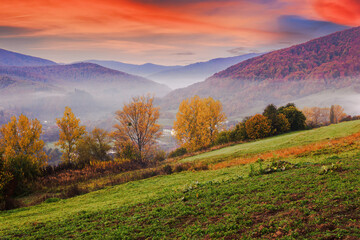 rural landscape at dawn in autumn. mountainous scenery in fall colors. trees, fields and pastures on the hill in misty weather - obrazy, fototapety, plakaty