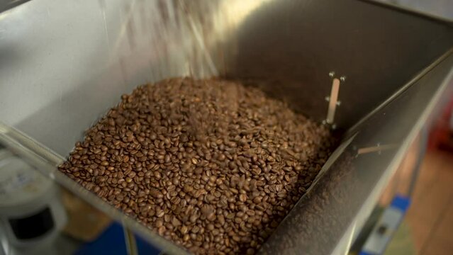 At the roasting stage, coffee beans are rejected by photo fixation. bad and defective grains are separated from good ones and poured into a container. coffee production. roasting coffee beans