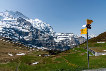 View over the meadows of Kleine Scheidegg alpine pass in Switzerland with view on the snowcapped Jungfraujoch in the Bernese Alps with signpost in front pointing to various mountain passes and cities - obrazy, fototapety, plakaty