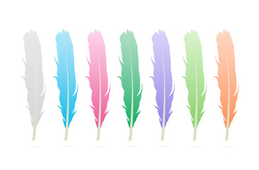 hand drawn colorful bird feathers. set of colorful bird feathers on white background