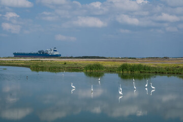 Port Aransas, Texas, Island destination on the Texas Gulf Coast, Gulf of Mexico, for Texans all year long. It has something for everyone, especially birders and beachgoers.
