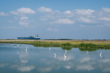 Port Aransas, Texas, Island destination on the Texas Gulf Coast, Gulf of Mexico, for Texans all year long. It has something for everyone, especially birders and beachgoers.