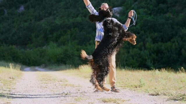 a girl in dreadlocks with dog setter Gordon the backdrop of mountains. Friendship, walking with dogs