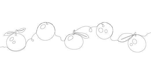 Tangerine single line border vector illustration. One continuous line art drawing of citrus