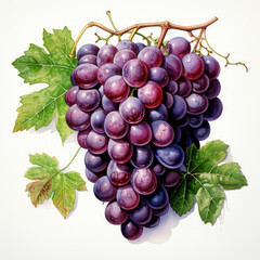 Fototapeta premium watercolor Grape Juice clipart, Generative Ai