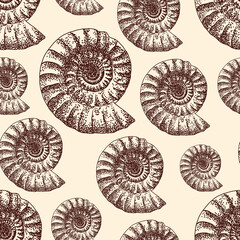 Beautiful ammonite fossils seamles pattern sketck over pastel yellow background © Alejandro Bernal