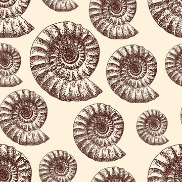 Beautiful ammonite fossils seamles pattern sketck over pastel yellow background