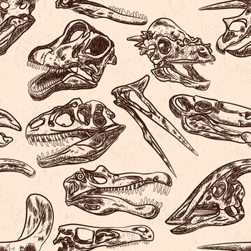 Dinosaurs fossils skull heads sketch seamless pattern 