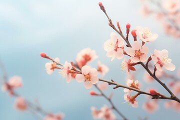 Soothing aesthetic: gentle apricot blossoms contrast a tranquil sky, accentuated with a dreamy soft focus. Generative AI