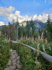Hiking through Tatra National Park - Poland