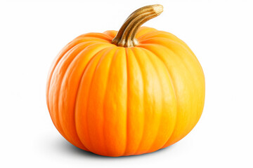Obraz premium pumpkin isolated on white background.