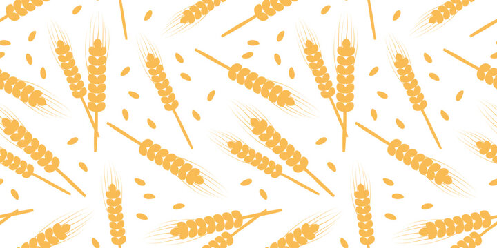 Wheat spike seamless pattern, grain barley background, cereal agriculture vector texture. Golden plant illustration