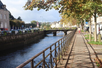 Quimper, odet, bretagne, arbre, cathédrale, beauté