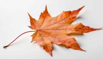 Vibrant autumn maple leaf, beauty in nature generative AI