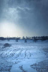 Snow blowing across field