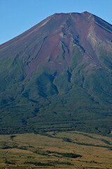 道志山塊の高座山より望む夏の朝の富士山
