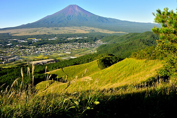 道志山塊の高座山　夏の朝に望む富士山
