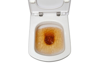 The housework was made easier by using a cleaning service for the dirty toilet and clogged drain,...