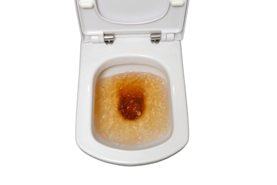 The housework was made easier by using a cleaning service for the dirty toilet and clogged drain, isolated on white background.