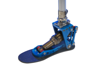 Exercising with a prosthetic leg can help improve the overall health of an adult with limb los, isolated on white background