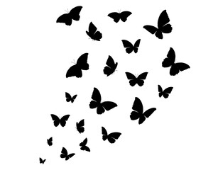 butterflies silhouettes set