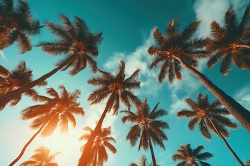 a group of palm trees against a blue sky - Powered by Adobe