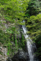 Minoh Falls, Osaka, Japan in summer