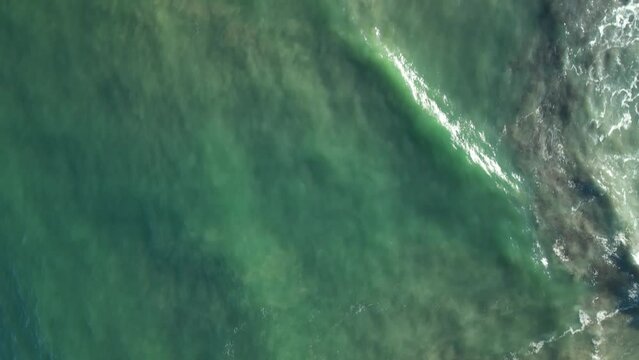 Aerial views of tropical beach and ocean waves in Coffs Harbour, New South Wales, Australia