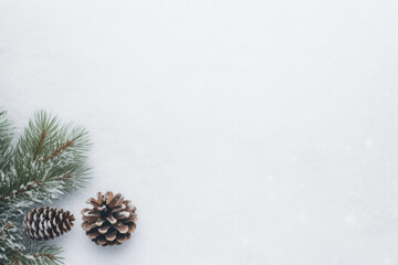 Top view of fir branches with pine cones and snow on grey.