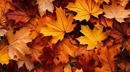 Naklejka na ściany i meble An artistic 52-style raw image featuring a beautiful autumn leaves background in a 16:9 ratio.