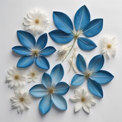 Fototapeta na wymiar Blue and White flowers on a white background