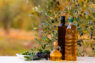 Fresh olives in salad bowls and oil in glass decanter and bottles on wooden table under branches of olive tree..