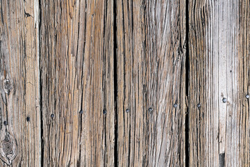 Texture of an old wooden board. Fragment of a sidewalk with nails. Space for text.