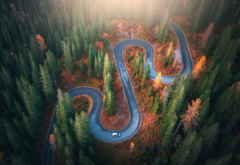 Aerial view of snake road in colorful autumn forest at sunrise. Dolomites, Italy. Top drone view of winding road in woods. Colorful landscape with highway, green pine trees, red leaves in fall. Nature
