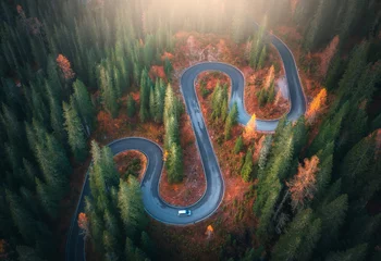 Poster Aerial view of snake road in colorful autumn forest at sunrise. Dolomites, Italy. Top drone view of winding road in woods. Colorful landscape with highway, green pine trees, red leaves in fall. Nature © den-belitsky