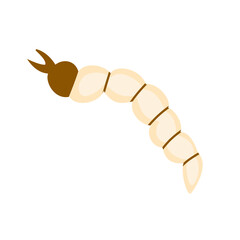 larva vector