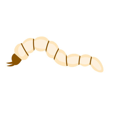 worm cartoon beige brown segmented clip art preview