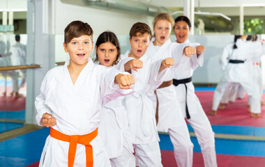 Fototapeta na wymiar Schoolchilds are practicing new technique by repeating for the female trainer in karate class