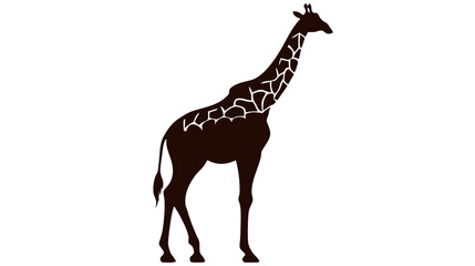 Naklejka premium Silhouette of a giraffe isolated on white background